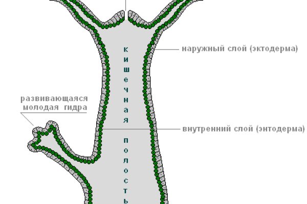 Зеркало омг омг омг